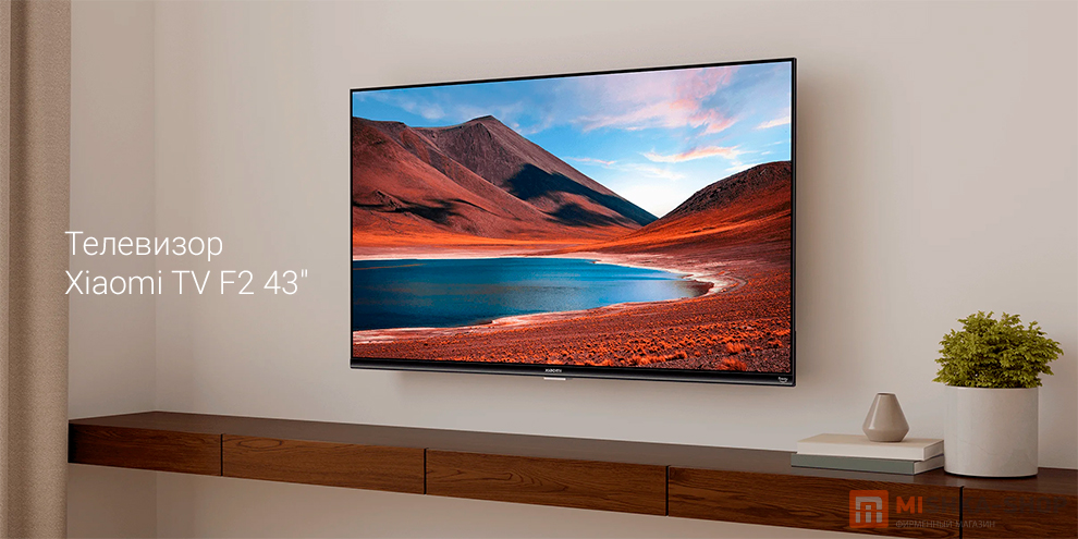 Xiaomi TV F2 43