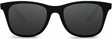 Солнцезащитные очки Turok Steinhardt hipster traveler STR004-0120 (Черный) — фото